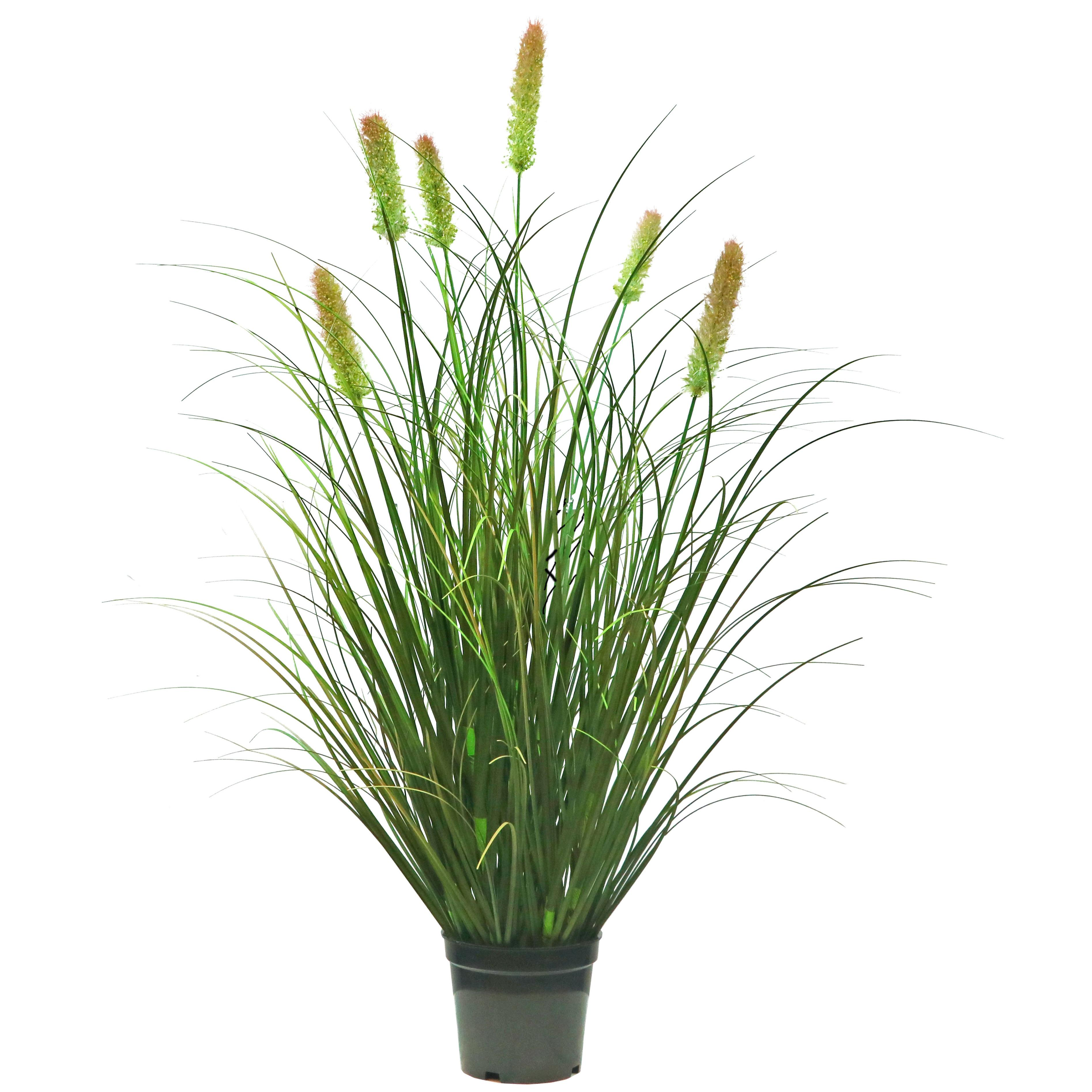 Artificial 6-Head Short Pine Grass with Curved Onion Grass Bonsai 4.3"H