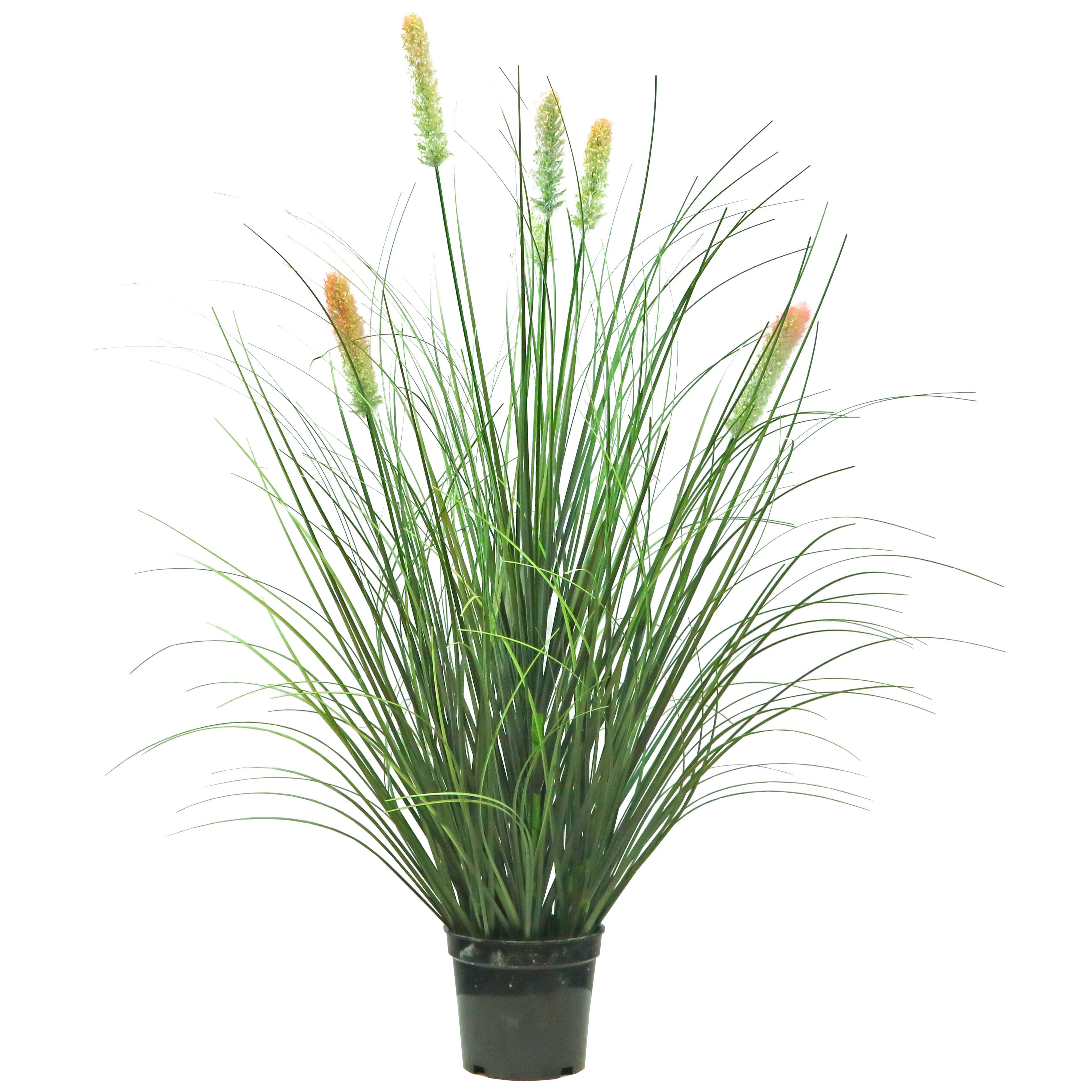 Artificial 6-Head Short Pine Grass with Curved Onion Grass Bonsai 4.3"H