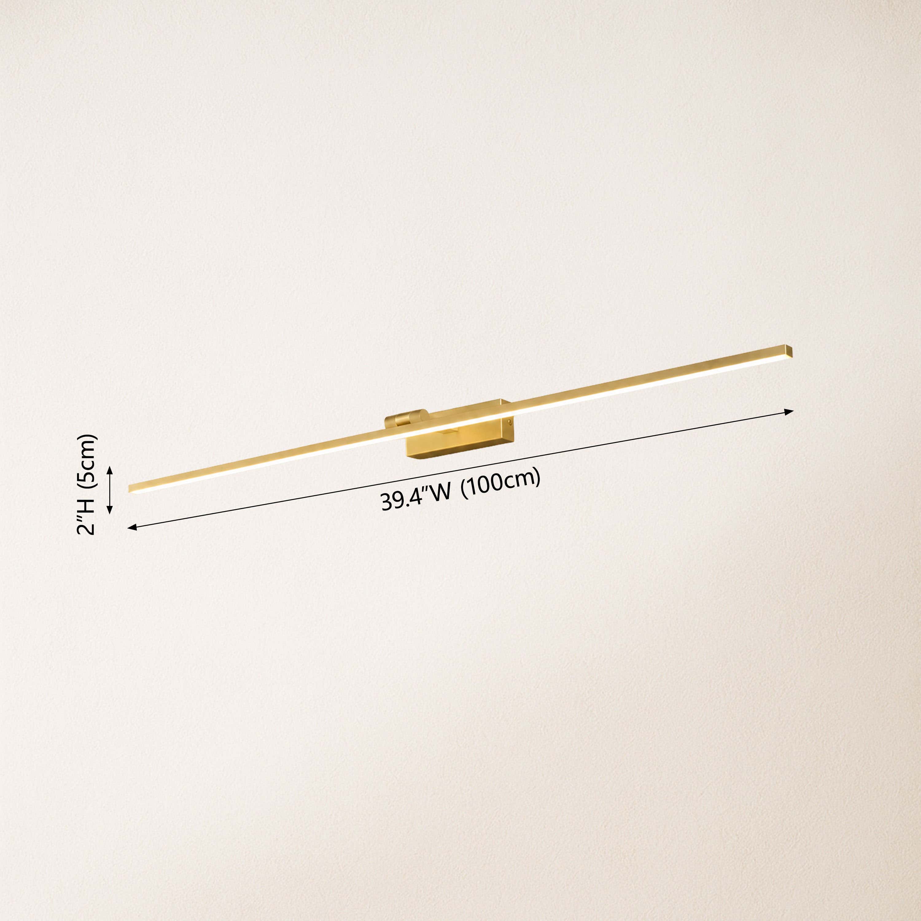 Xandvoria Liner Picture Light