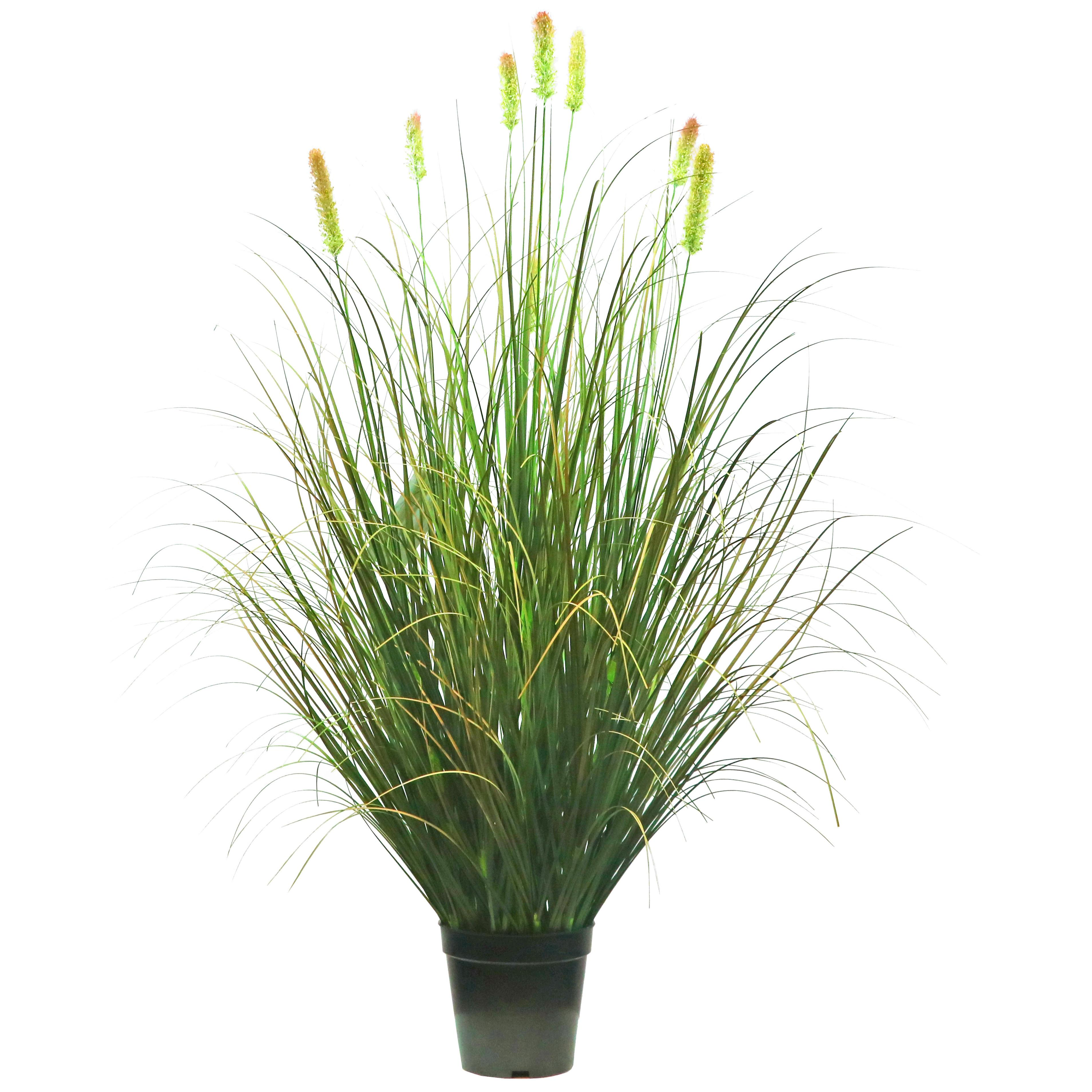 Artificial 8-Head Short Pine Grass with Curved Onion Grass Bonsai 5.5"H