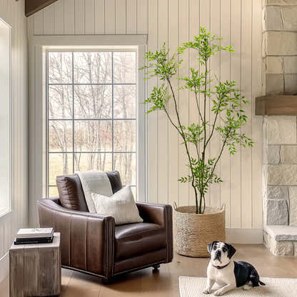 Faux Nandina Tree 210cm H