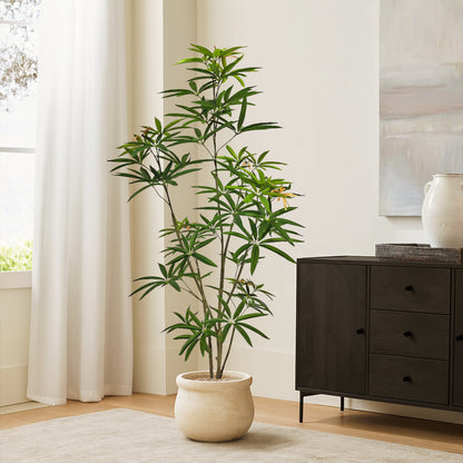 Faux Australian Umbrella Tree 59.1"H