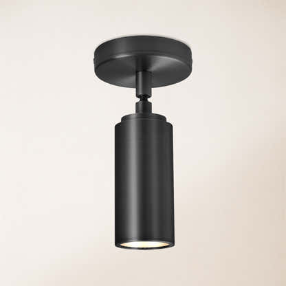 Art Glow Adjustable Spot Downlight Flush Mount 2.8"D