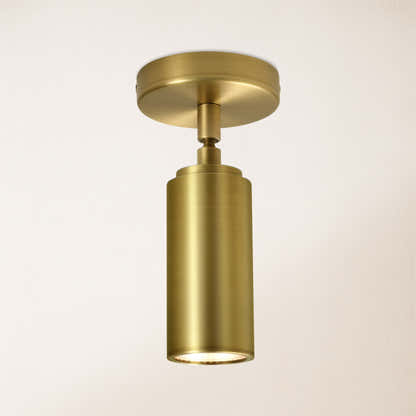 Art Glow Adjustable Spot Downlight Flush Mount 2.8"D