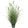 Artificial 6-Head Short Pine Grass with Curved Onion Grass Bonsai 76cm H