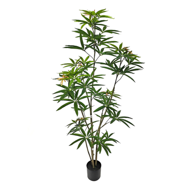 Faux Australian Umbrella Tree 59.1"H