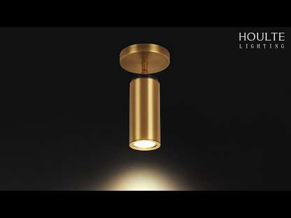 Art Glow Adjustable Spot Downlight Flush Mount 2.8"D