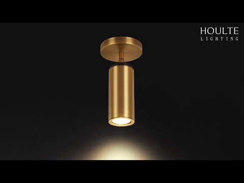 Art Glow Adjustable Spot Downlight Flush Mount 2.8"D